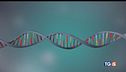 Dna senza segreti per la medicina del futuro