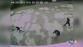 Saman, video choc Uccisa dai parenti?