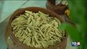 Puglia, pasta a base di farina di carrube condita con fiori di zucca, caciottina e ragù di carne