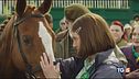 Arriva al cinema "Dream Horse"