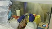 Rischio variante delta, vaccini efficaci al 90%