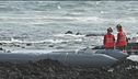 Barcone si rovescia Strage a Lampedusa