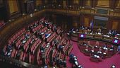Legge Zan, è scontro Pd-M5S contro Renzi