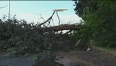 Piogge e danni al nord ma l'afa soffoca il sud