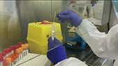 Delta si diffonde "Vaccini efficaci"