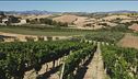 Gusto di Vino: un lungo percorso enogastronomico
