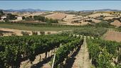 Gusto di Vino: un lungo percorso enogastronomico