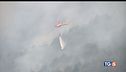 Incendi, piaga d'Italia prevenzione unica via