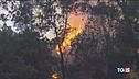 Resta solo cenere nubifragi al nord