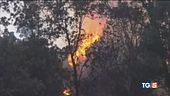Resta solo cenere nubifragi al nord