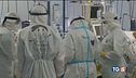 Isolata anche in Italia la variante Delta plus