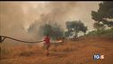 Sud, incendi senza sosta: 2 morti nell'Aspromonte
