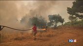 Sud, incendi senza sosta: 2 morti nell'Aspromonte