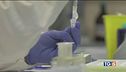 50 milioni di pass, il virus rallenta