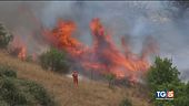 Inferno incendi al sud, in fumo 100mila ettari