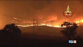 L'avanzata delle fiamme, un disastro ambientale