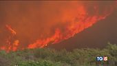 Lotta contro il fuoco "Gravi responsabilità"