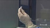 Ecco Reithera, il vaccino italiano