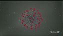 Virus, la paura delle varianti
