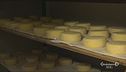 Il formaggio di Chiavari