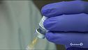 Vaccini lumaca, si rifanno i conti