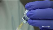 Vaccini lumaca, si rifanno i conti