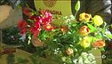 A San Valentino dillo con un fiore
