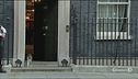 Larry, 10 anni a Downing Street