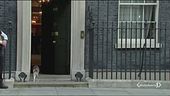 Larry, 10 anni a Downing Street