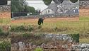 In ostaggio della pantera nera