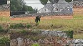 In ostaggio della pantera nera