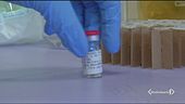 Vaccini "fai da te", blitz dei Nas