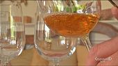 Il vino Picolit