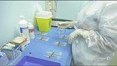 Un piano per vaccini più rapidi