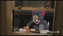 Riecco i nemici Tom & Jerry
