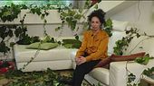 I particolari ritratti di famiglia di Monia Marchionni