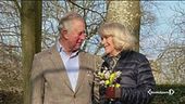 Carlo-Camilla, operazione simpatia
