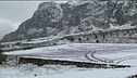 Neve in Sicilia, delfini in laguna
