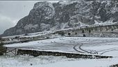 Neve in Sicilia, delfini in laguna