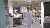 Drammatico picco nel numero delle vittime