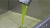 L'importanza dell'olio