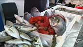 Pesca in crisi e mare da salvare