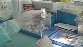 Vaccini, un piano per l'estate