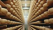 Formaggio Asiago, eccellenza made in Italy