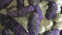 La patata viola: dall'antipasto al dolce