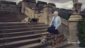 Si celebrano i cani della Regina