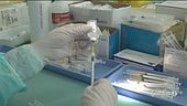 Prime regioni immuni già in agosto