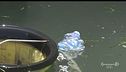 Il problema della plastica in mare