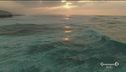 Aziende cosmetiche e oceano