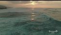 Aziende cosmetiche e oceano